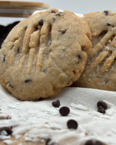 Vegan Coconut Chocolate Chip